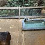 温泉旅館の専門サイト「ゆこゆこ」を使って宿泊してみたら